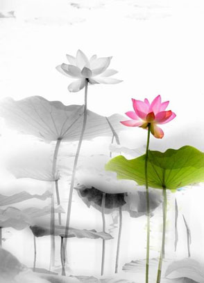 ������������Ӱ�콡��