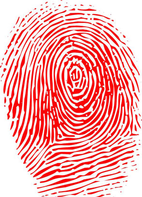 ָ���������ʲô��ϵ��