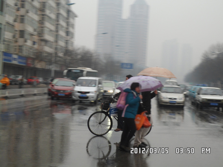 ��������ʦ�ٴ�Ӧ��ȥ�����ҵ����