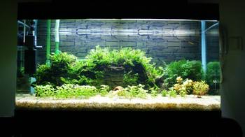 �ڷ������Ϊʲô���Ʋƣ�